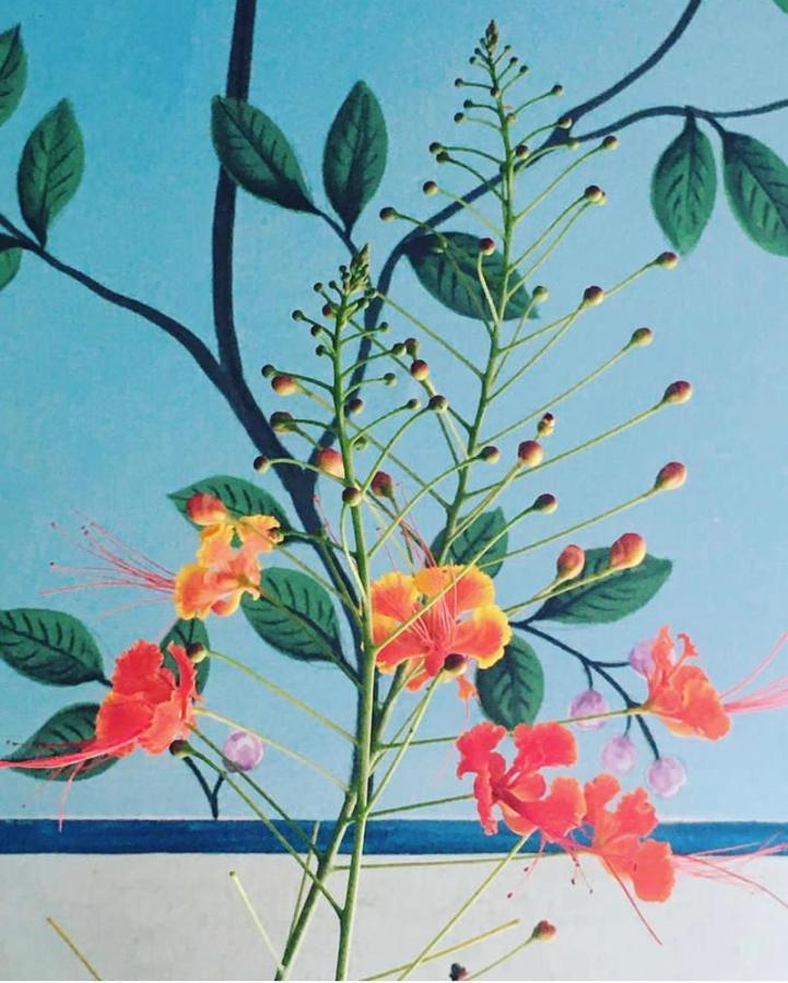 ורקלה Villa Jacaranda מראה חיצוני תמונה