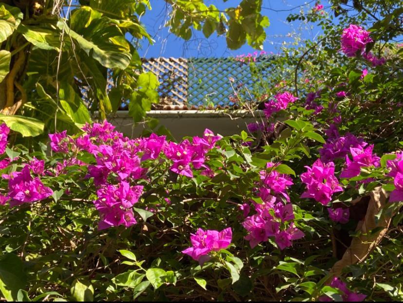 ורקלה Villa Jacaranda מראה חיצוני תמונה
