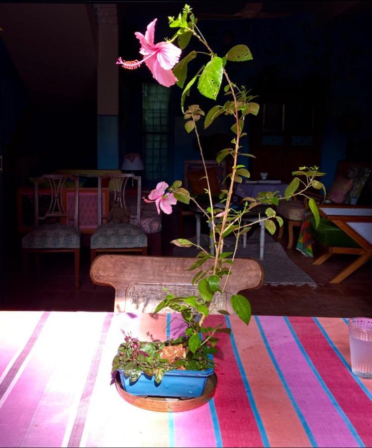 ורקלה Villa Jacaranda מראה חיצוני תמונה